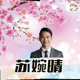 苏婉晴